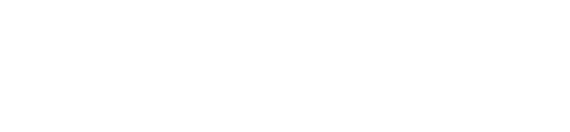 emmi-pet